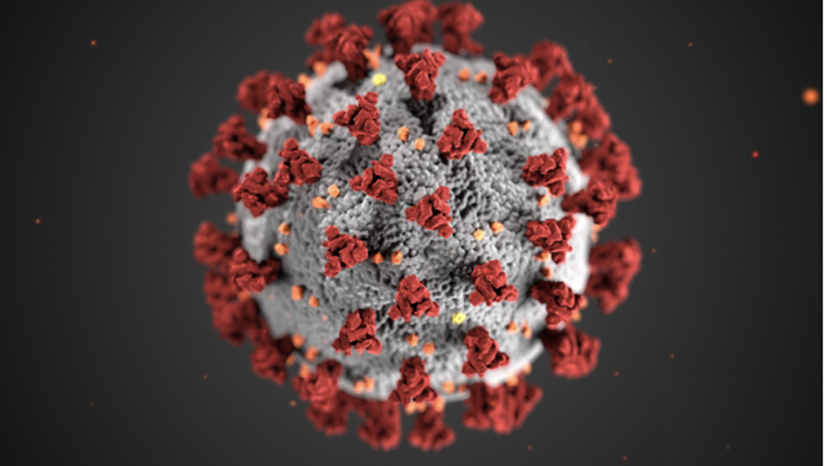 SARS-CoV-2, o coronavírus que causa a Covid-19 - Alissa Eckert / CDC